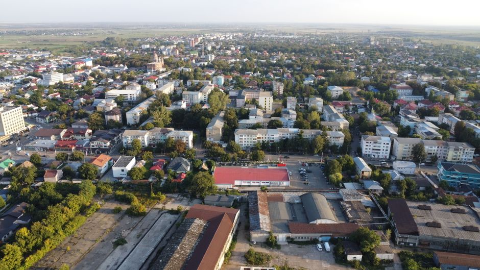 Дачники масово використовують старі піддони не за призначенням: результат справді дивує